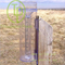 Free Shipping Glass Rain Gauge with low price